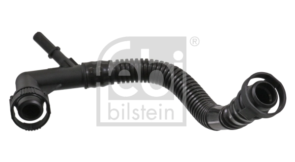 Hose, crankcase ventilation
